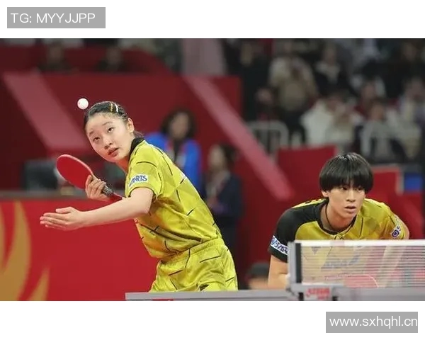 成都乒乓球队整体压制战术解析与实战应用探讨 成都乒乓球队整体压制战术解析与实战应用探讨